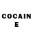 COCAIN Fish Scale ThtSp1r1t