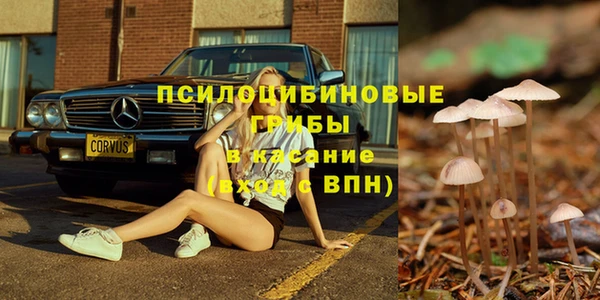 спиды Алзамай