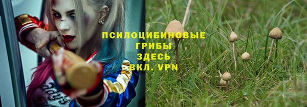 а пвп мука Алексеевка