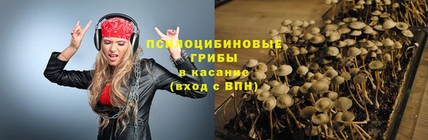 спиды Алзамай
