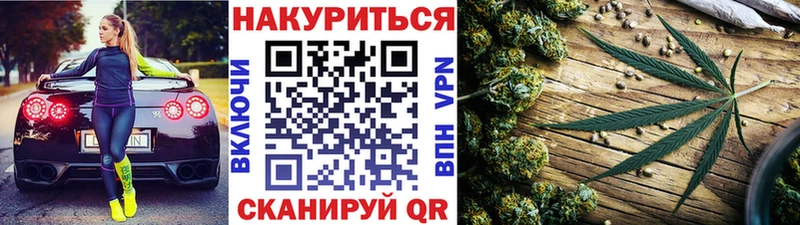 Каннабис план купить наркотики сайты Лахденпохья